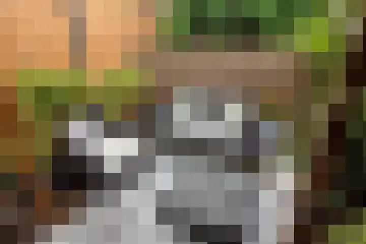 Frans Halskade 82 Rijswijk thumbnail 25