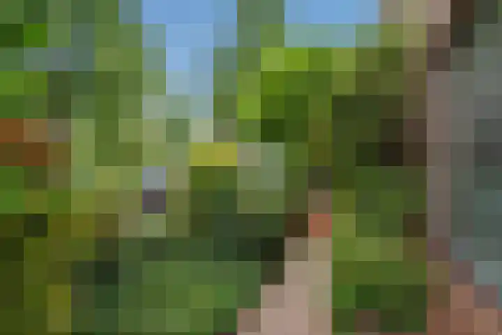 Frans Halskade 82 Rijswijk thumbnail 26