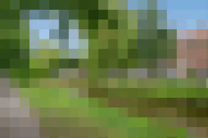 Frans Halskade 82 Rijswijk thumbnail 27