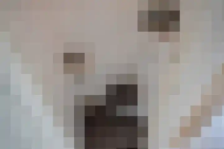 Frans Halskade 82 Rijswijk thumbnail 7