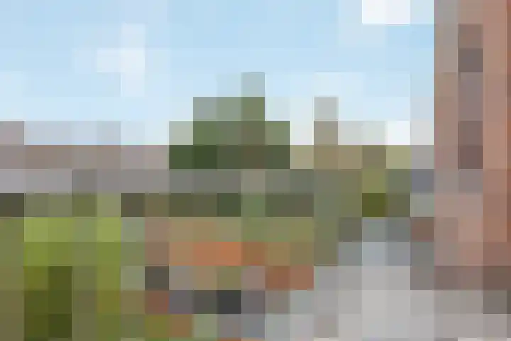 Frans Halskade 86 Rijswijk thumbnail 16
