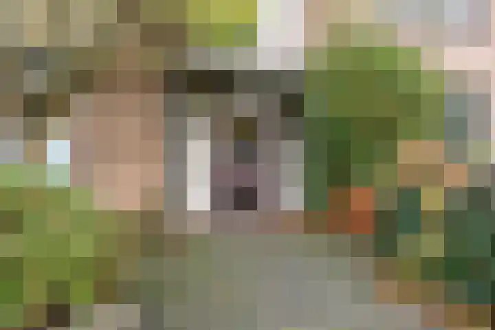Frans Halskade 86 Rijswijk thumbnail 28