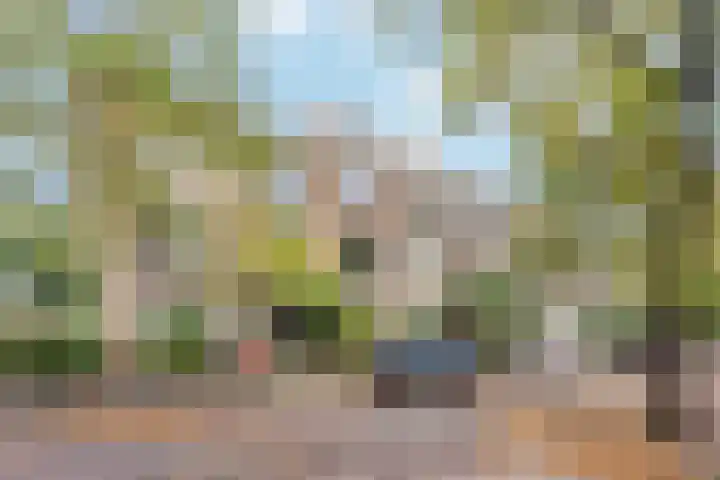 Frans Halskade 86 Rijswijk thumbnail 29