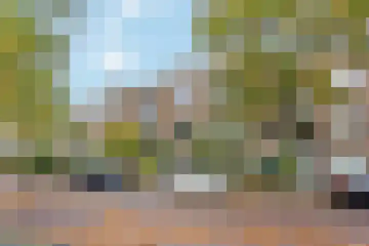 Frans Halskade 86 Rijswijk thumbnail 30