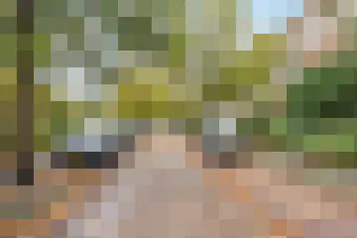 Frans Halskade 86 Rijswijk thumbnail 31