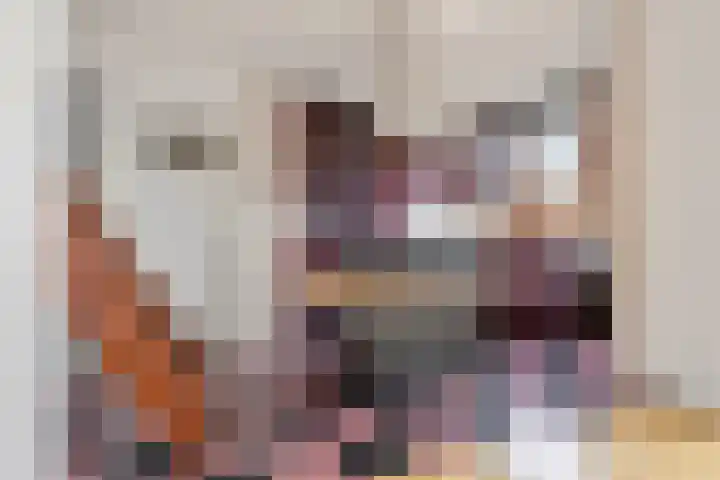 Frans Halskade 86 Rijswijk thumbnail 8