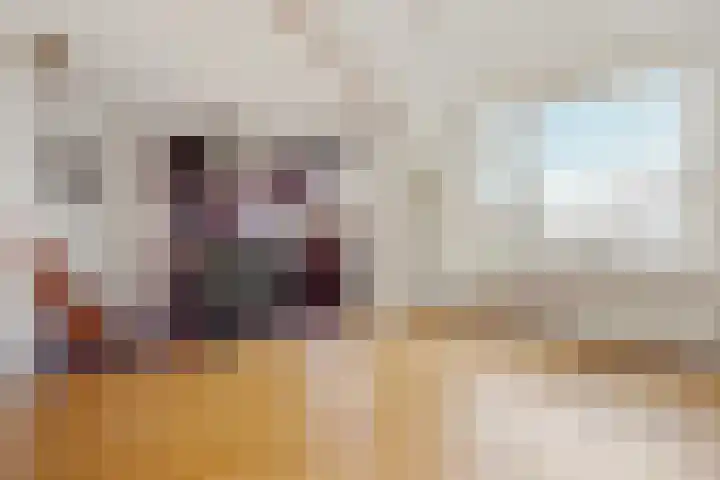 Frans Halskade 86 Rijswijk thumbnail 9
