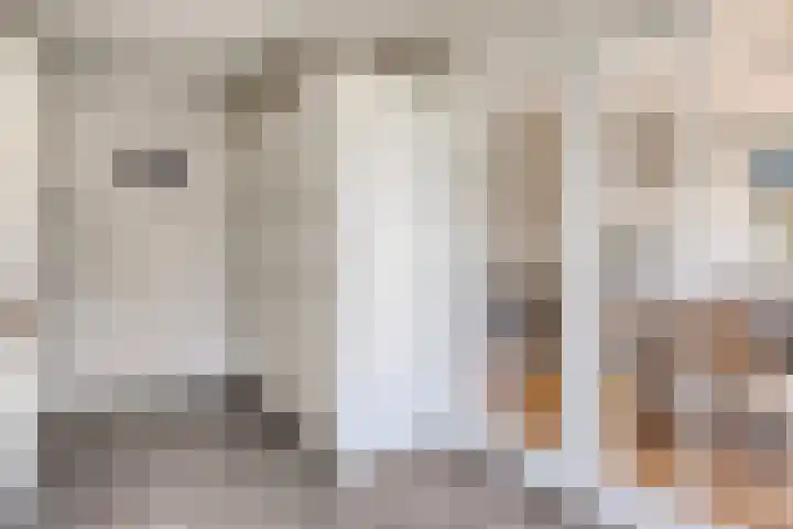 Frans Halslaan 1 Apeldoorn thumbnail 11