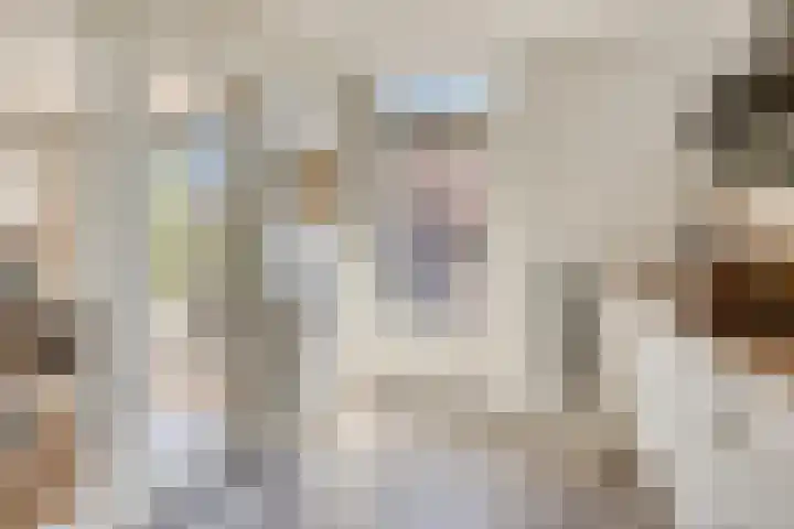 Frans Halslaan 1 Apeldoorn thumbnail 12