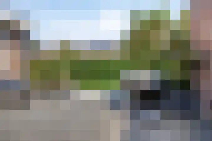 Frans Halslaan 1 Apeldoorn thumbnail 14