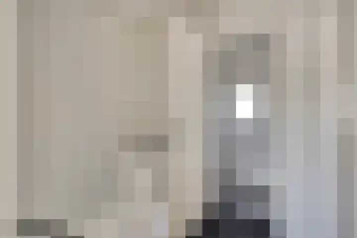 Frans Halslaan 1 Apeldoorn thumbnail 17