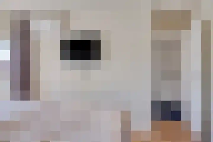 Frans Halslaan 1 Apeldoorn thumbnail 19