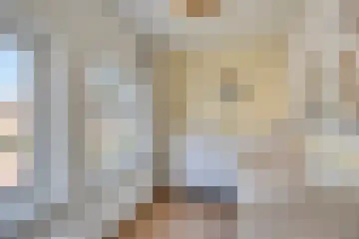 Frans Halslaan 1 Apeldoorn thumbnail 20