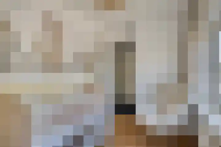 Frans Halslaan 1 Apeldoorn thumbnail 21