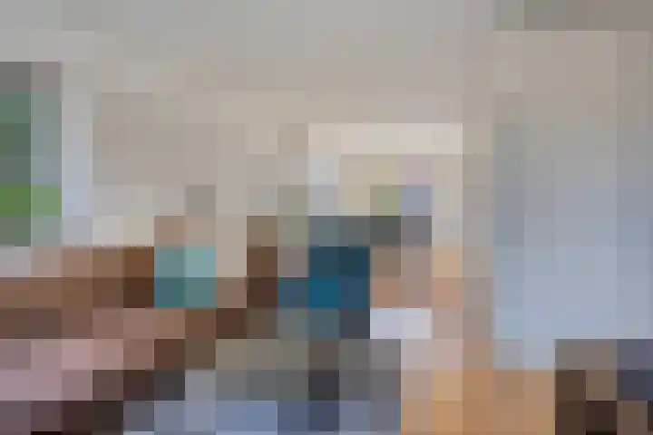 Frans Halslaan 1 Apeldoorn thumbnail 7