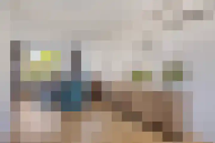 Frans Halslaan 1 Apeldoorn thumbnail 8