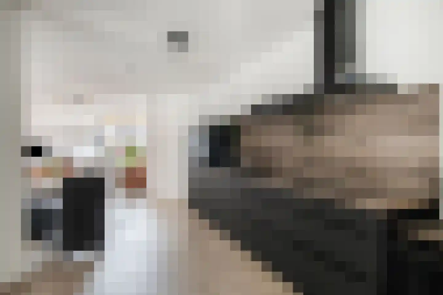 Frans Halslaan 1 d Lochem thumbnail 16