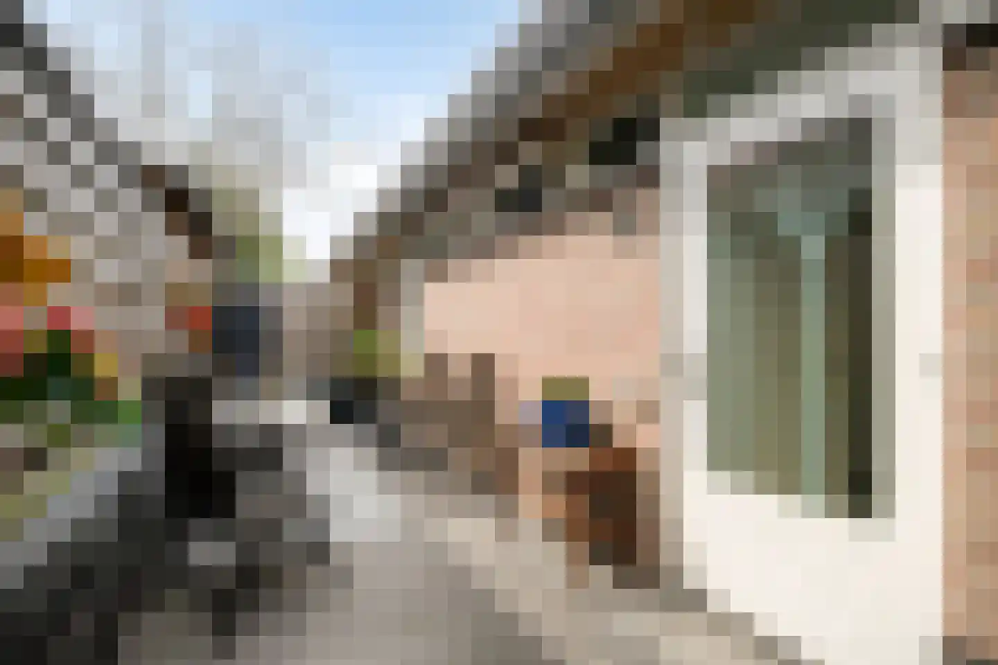 Frans Halslaan 1 d Lochem thumbnail 25