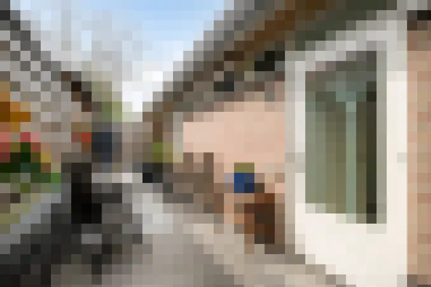 Frans Halslaan 1 d Lochem thumbnail 25