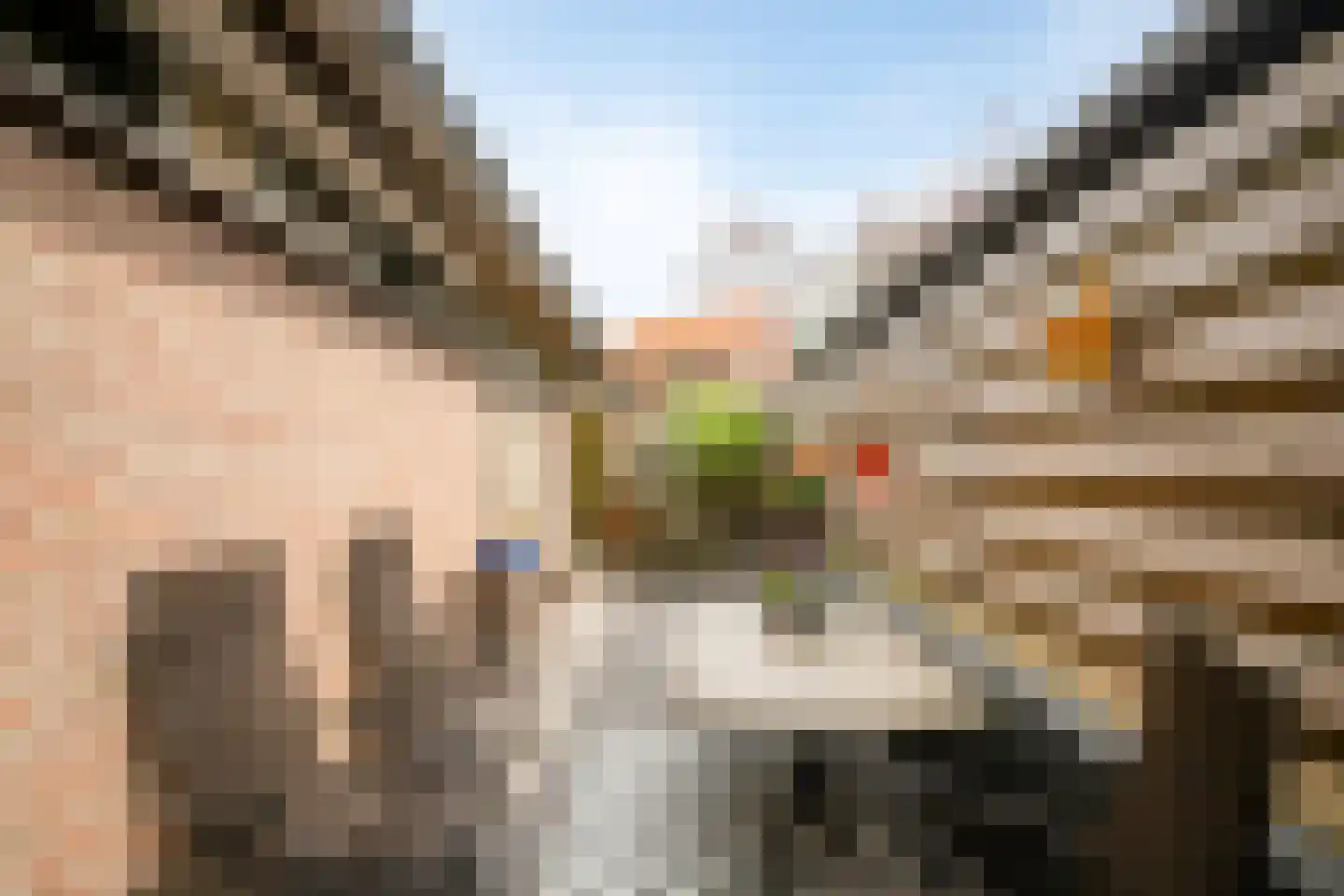 Frans Halslaan 1 d Lochem thumbnail 27