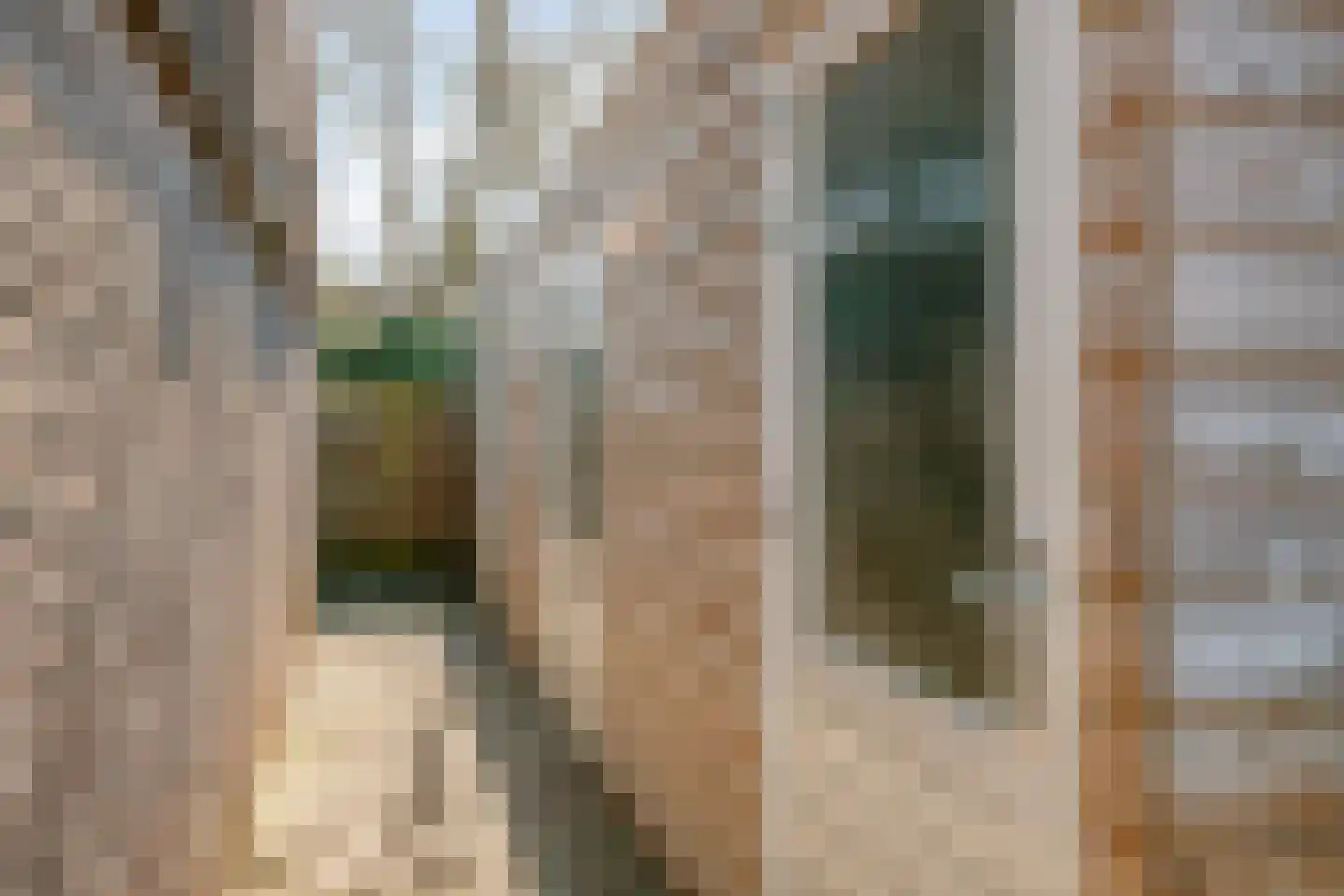 Frans Halslaan 1 d Lochem thumbnail 29