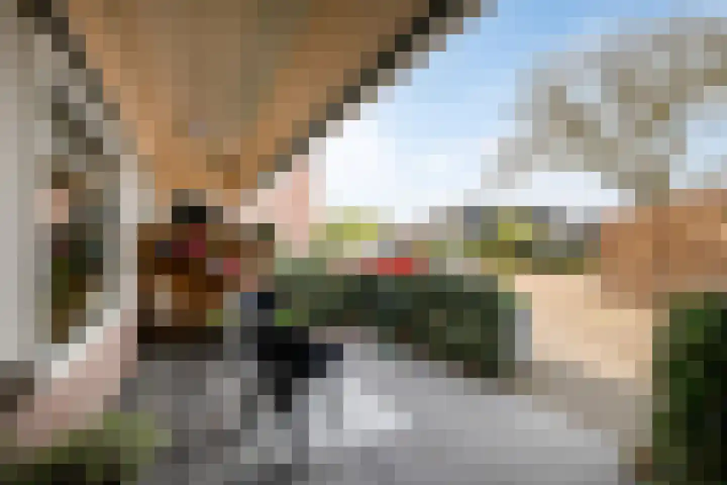 Frans Halslaan 1 d Lochem thumbnail 4