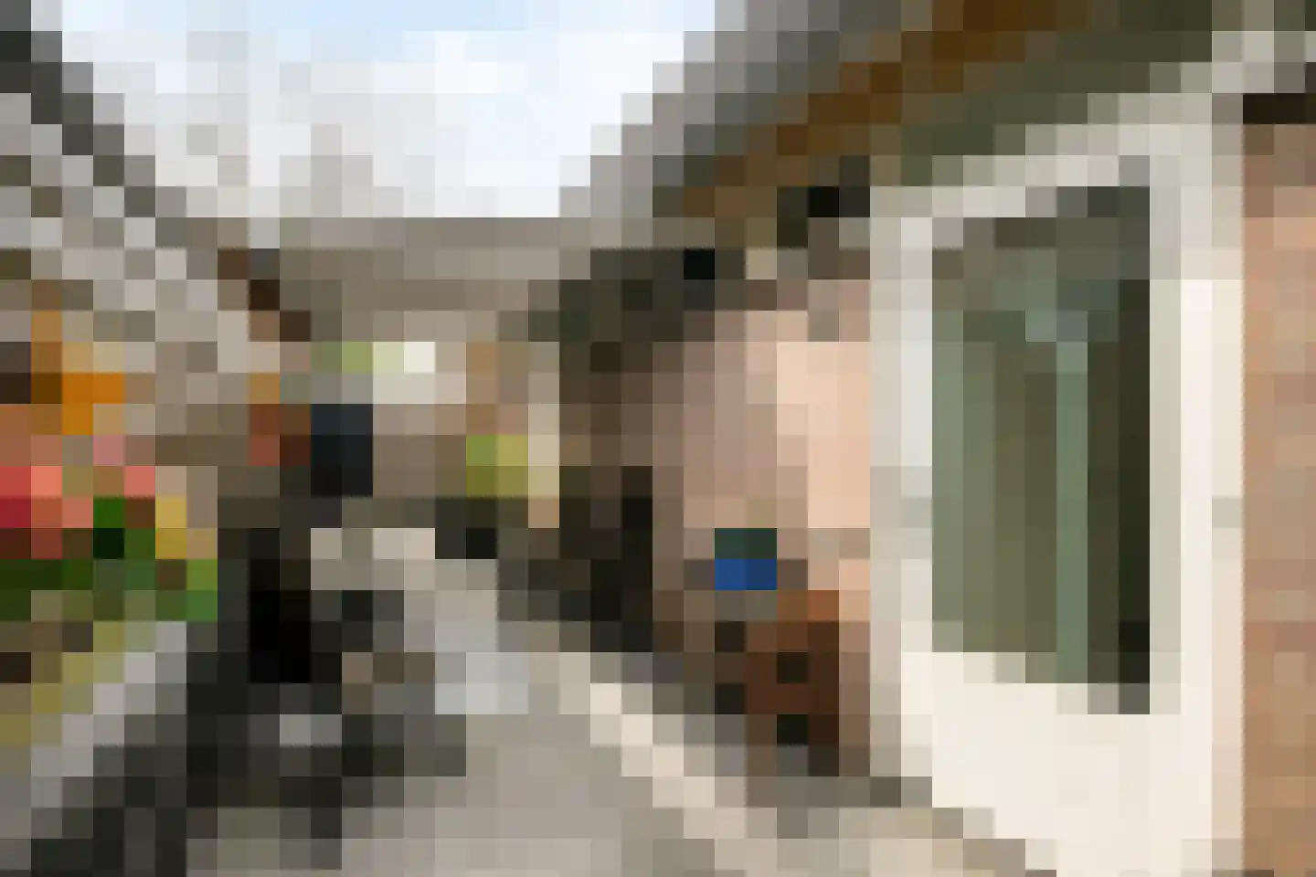 Frans Halslaan 1 d Lochem thumbnail 5