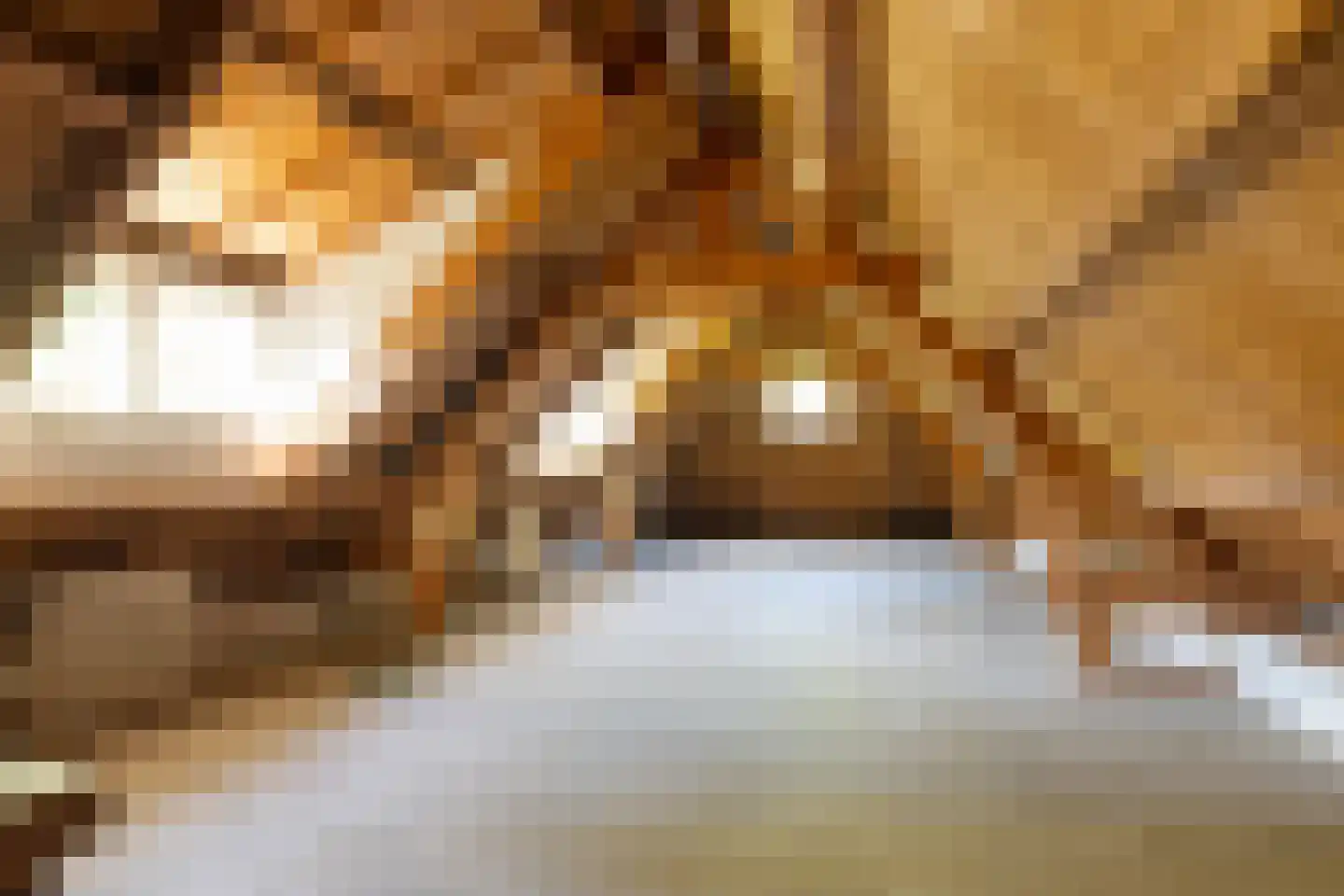 Frans Halslaan 107 Bilthoven thumbnail 33