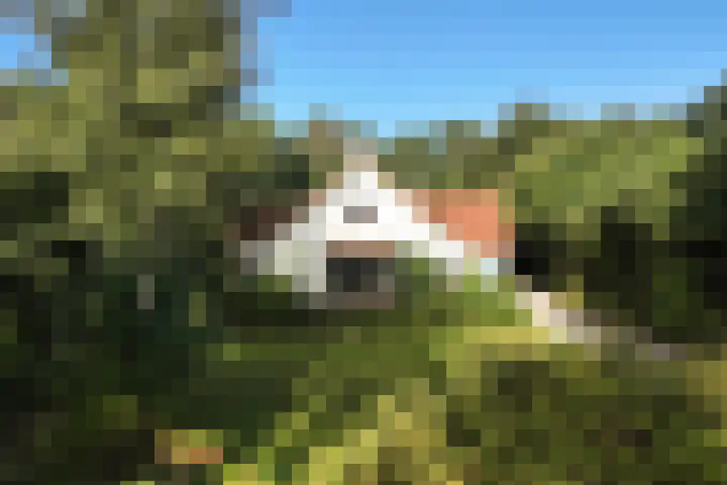 Frans Halslaan 107 Bilthoven thumbnail 4