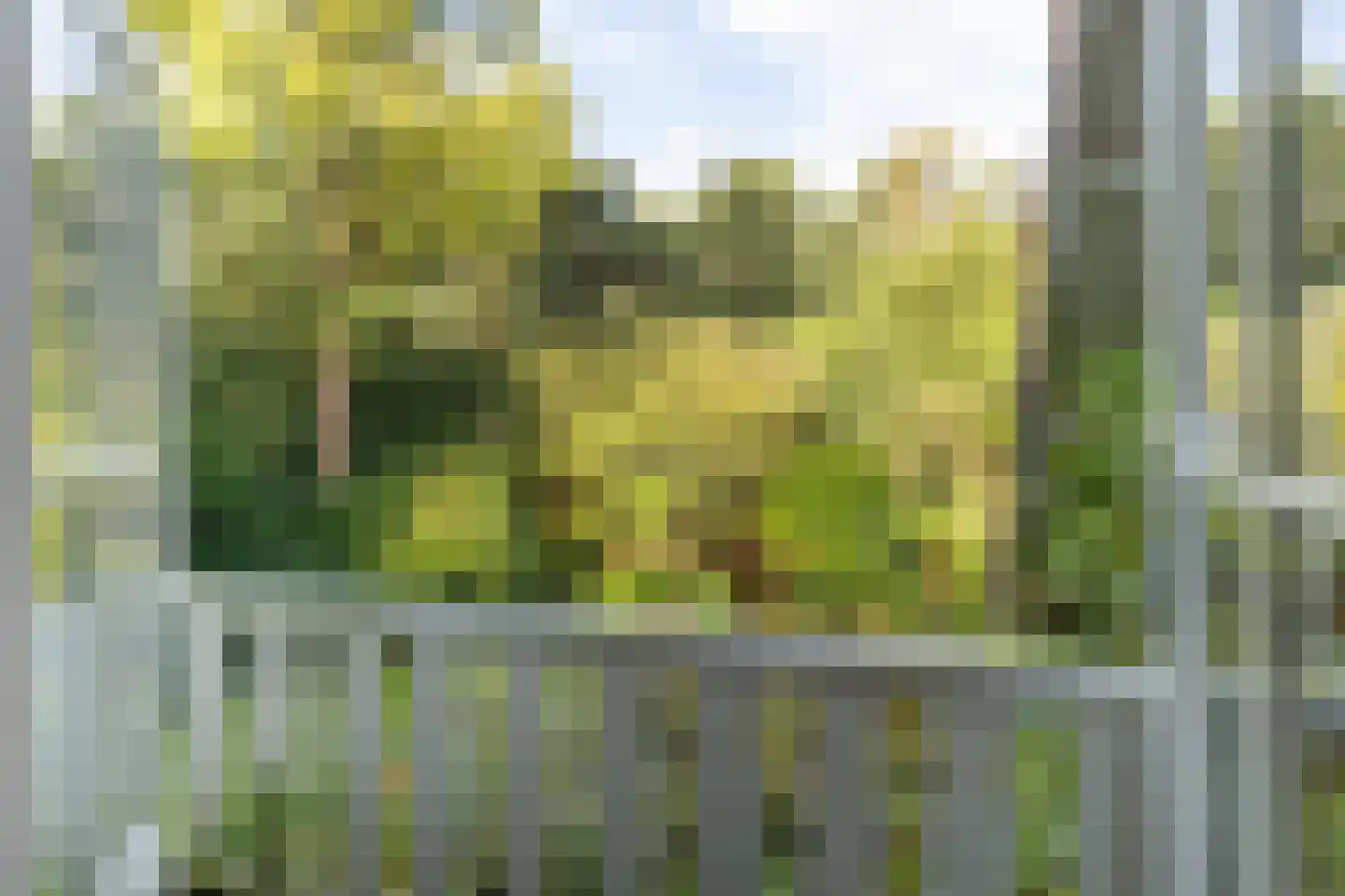 Frans Halslaan 107 Bilthoven thumbnail 41