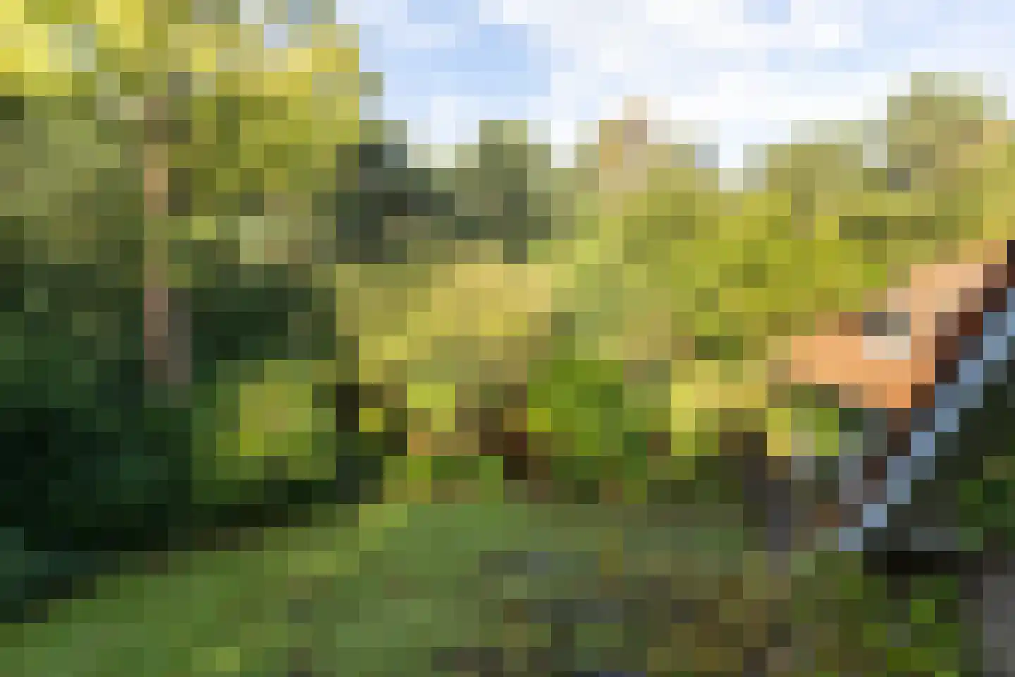 Frans Halslaan 107 Bilthoven thumbnail 42