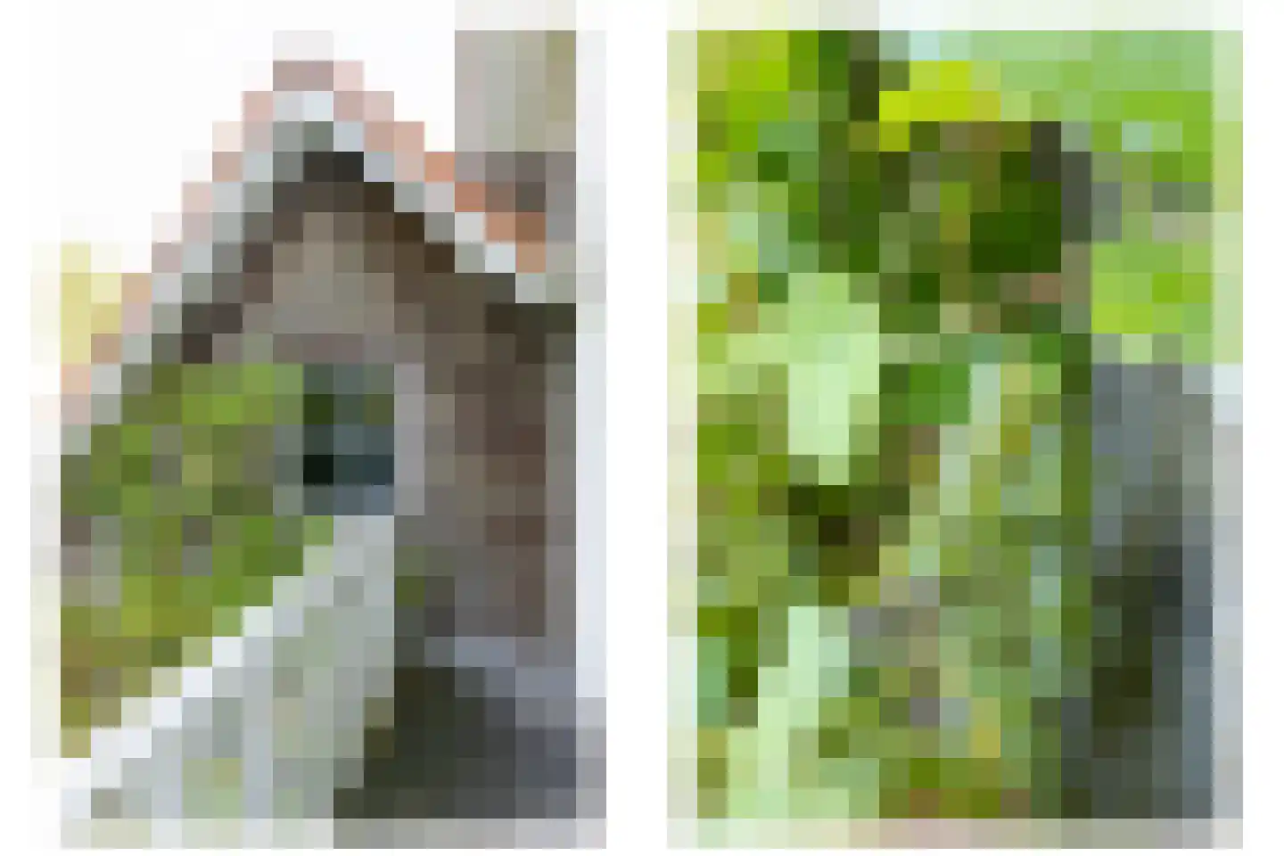 Frans Halslaan 107 Bilthoven thumbnail 43