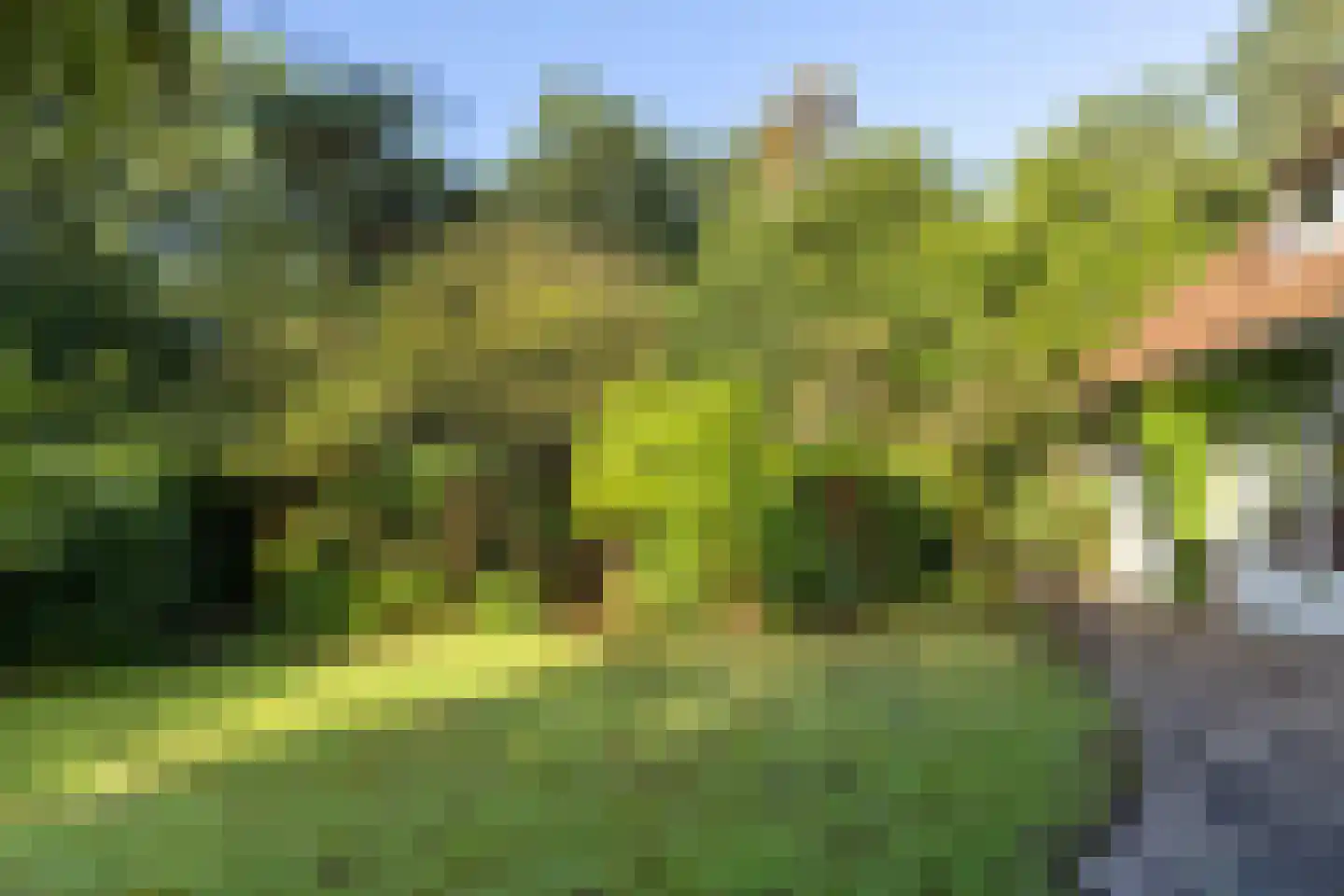 Frans Halslaan 107 Bilthoven thumbnail 49