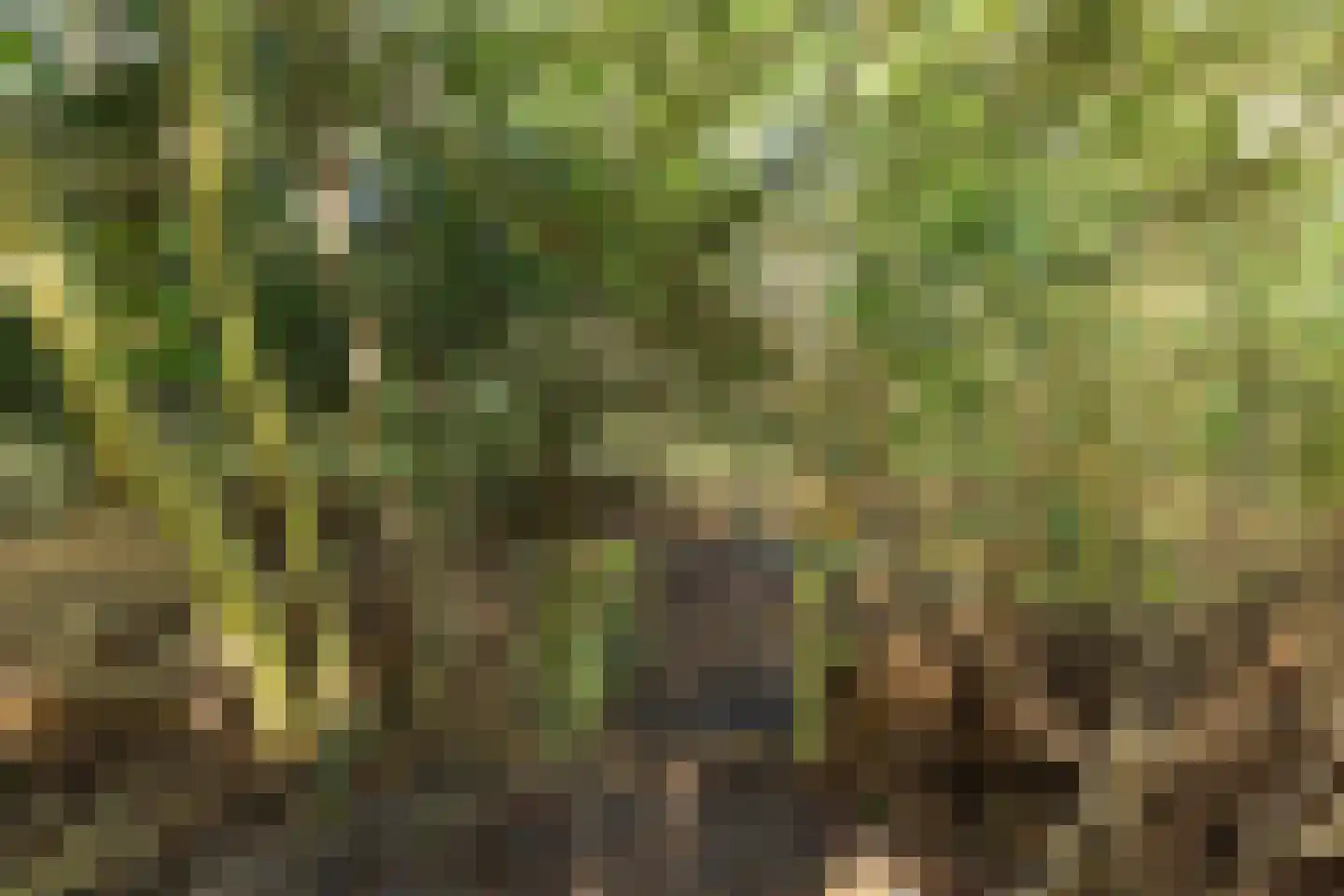 Frans Halslaan 107 Bilthoven thumbnail 50