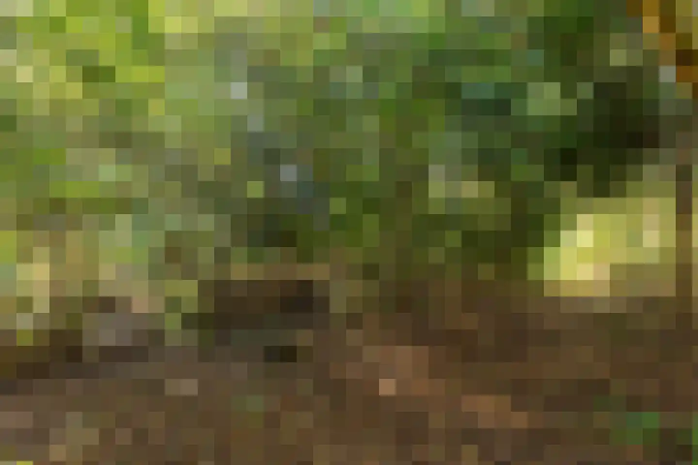 Frans Halslaan 107 Bilthoven thumbnail 51