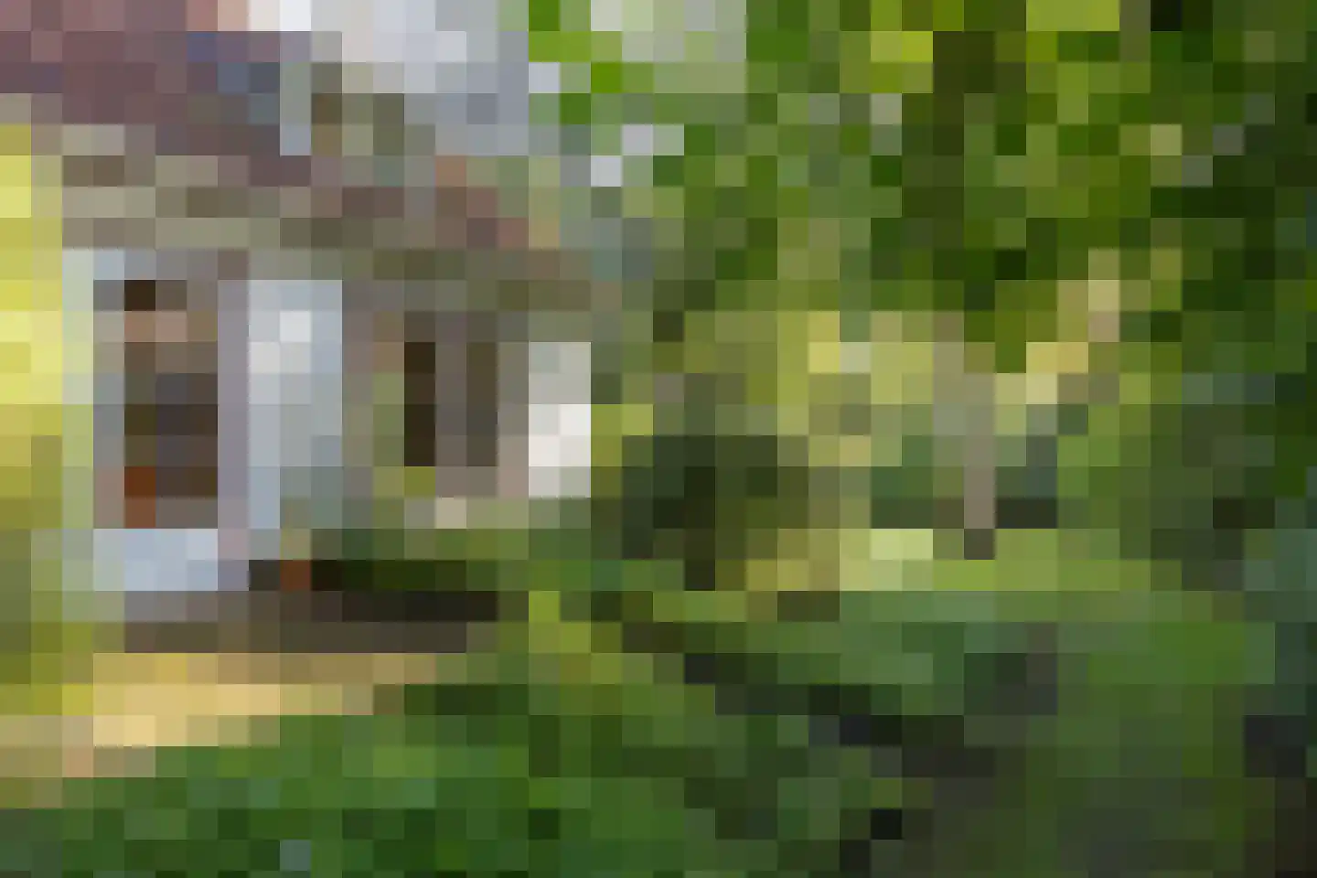 Frans Halslaan 107 Bilthoven thumbnail 56