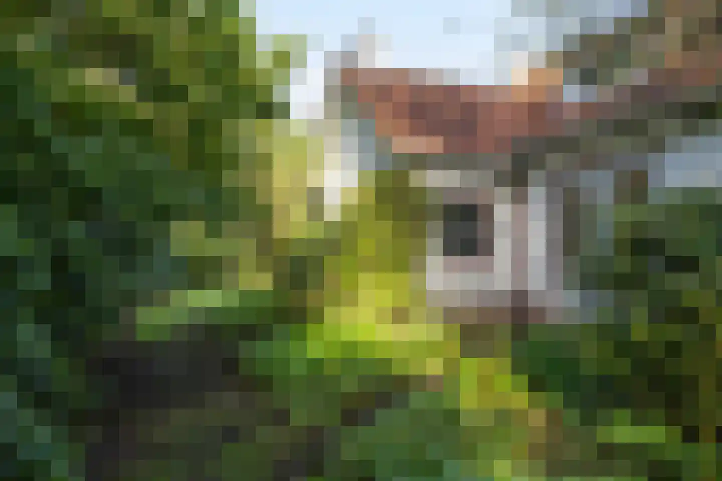 Frans Halslaan 107 Bilthoven thumbnail 57