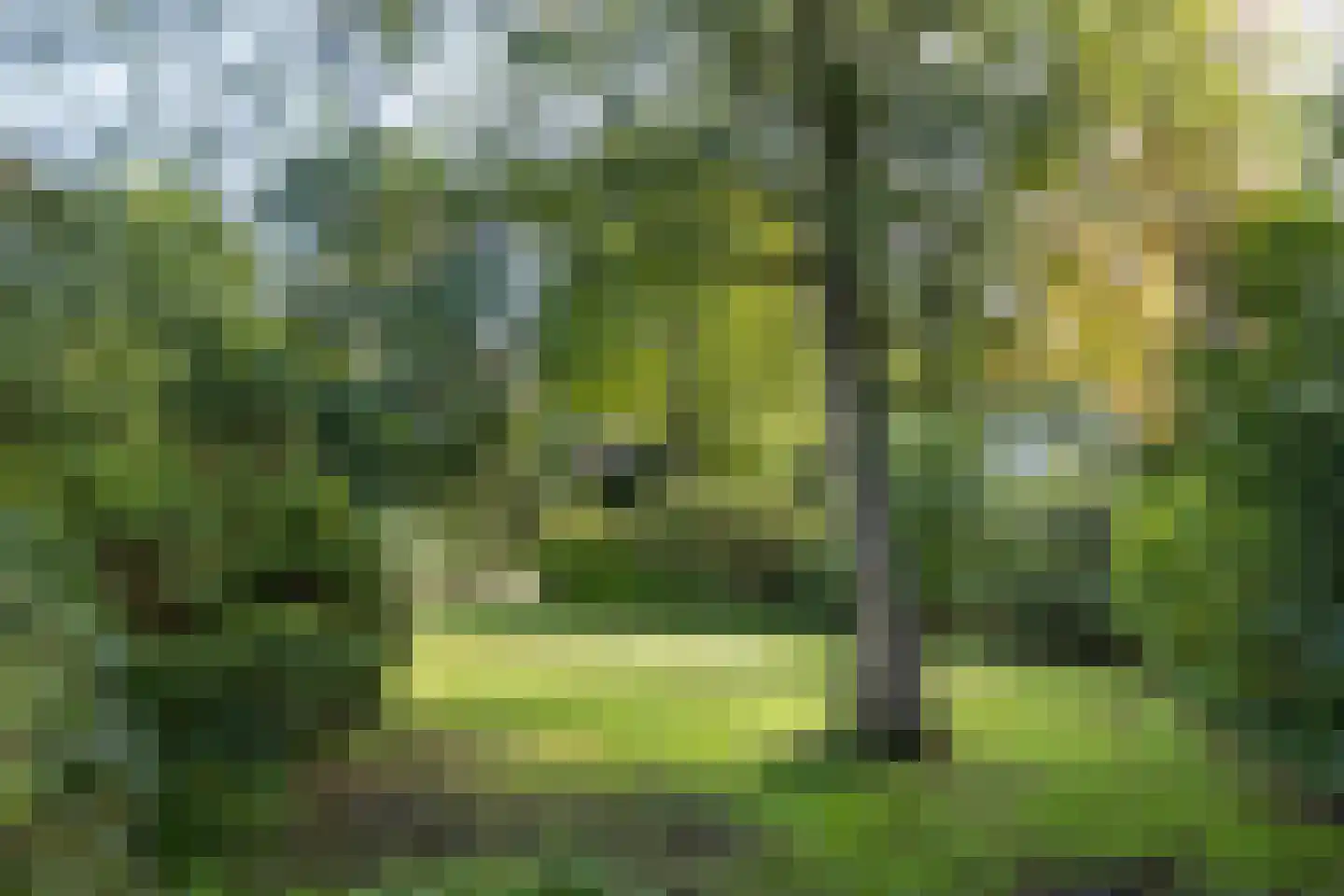 Frans Halslaan 107 Bilthoven thumbnail 58