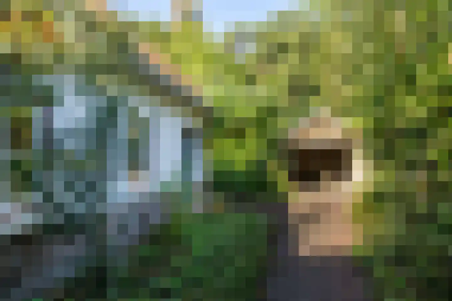 Frans Halslaan 107 Bilthoven thumbnail 59