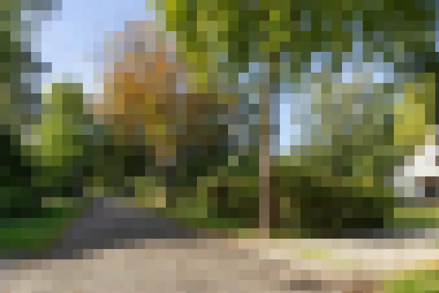 Frans Halslaan 107 Bilthoven thumbnail 61