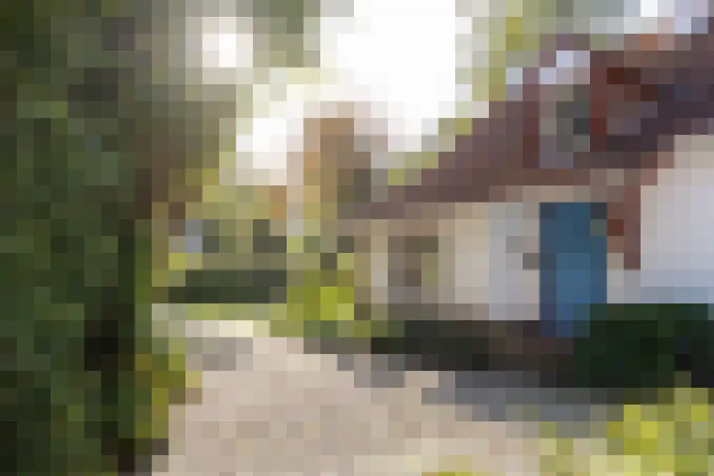 Frans Halslaan 107 Bilthoven thumbnail 7