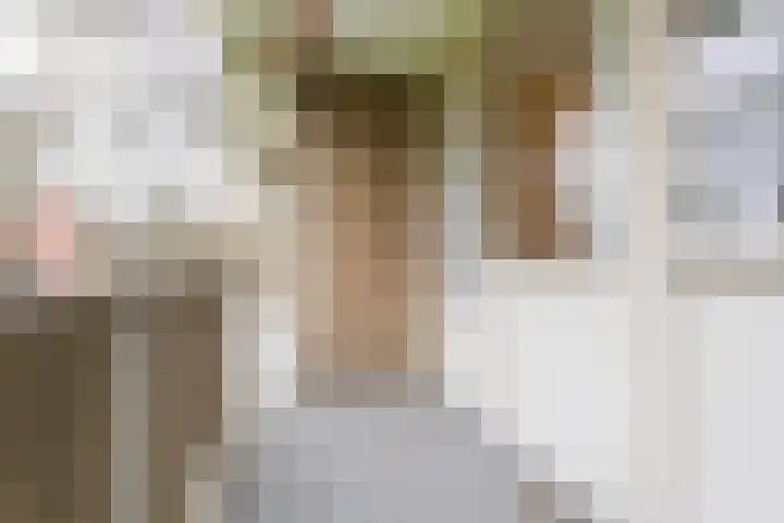 Frans Halslaan 111 Oegstgeest thumbnail 16