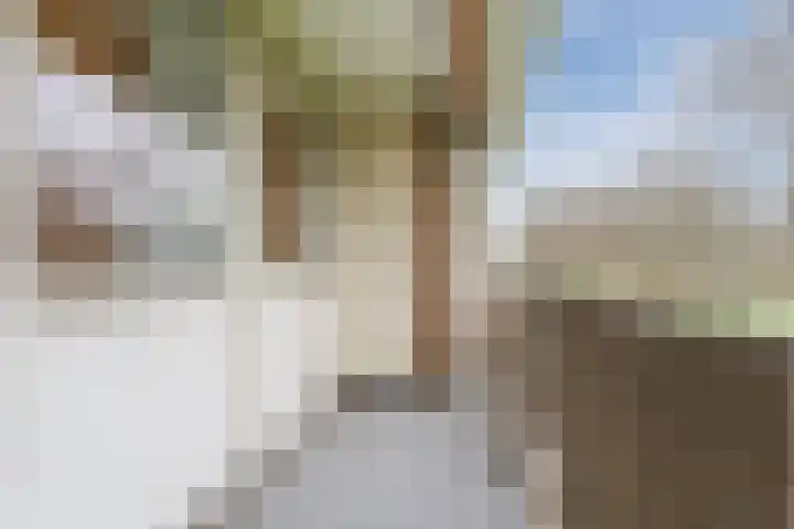 Frans Halslaan 111 Oegstgeest thumbnail 17