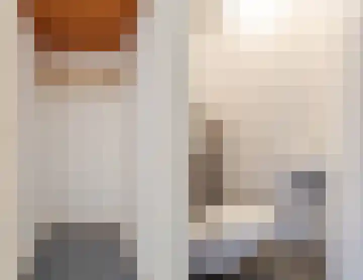Frans Halslaan 111 Oegstgeest thumbnail 24