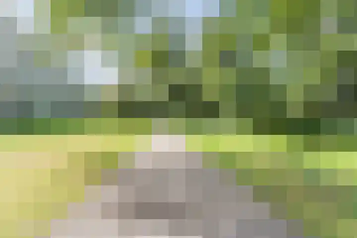 Frans Halslaan 111 Oegstgeest thumbnail 30