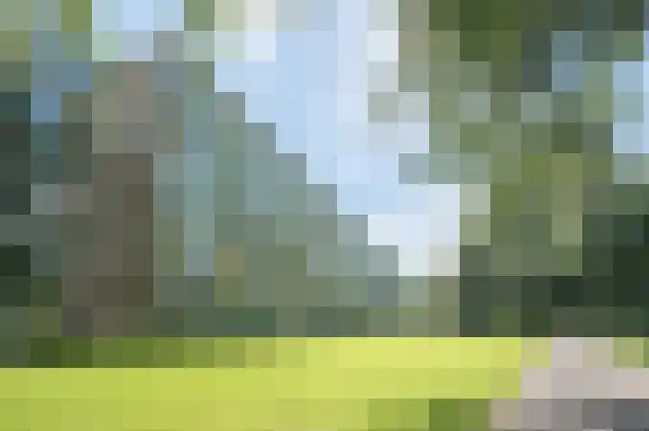 Frans Halslaan 111 Oegstgeest thumbnail 32