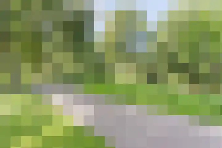 Frans Halslaan 111 Oegstgeest thumbnail 34