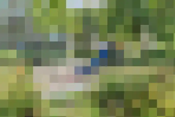 Frans Halslaan 111 Oegstgeest thumbnail 36