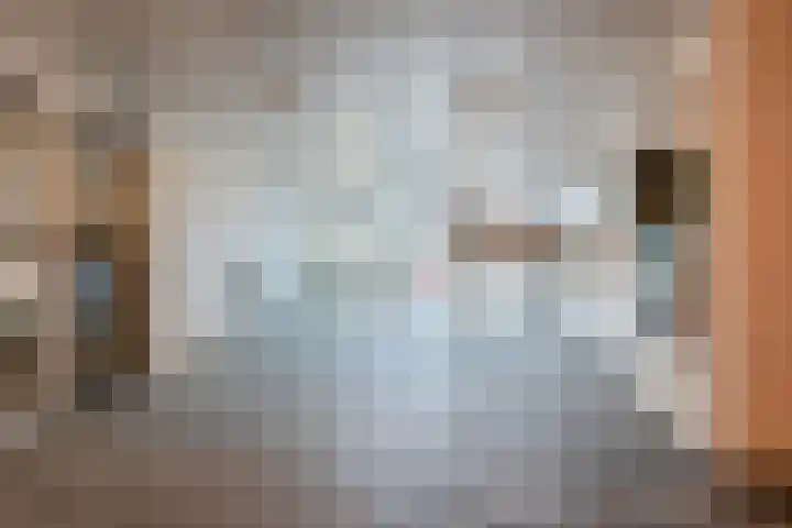 Frans Halslaan 111 Oegstgeest thumbnail 8