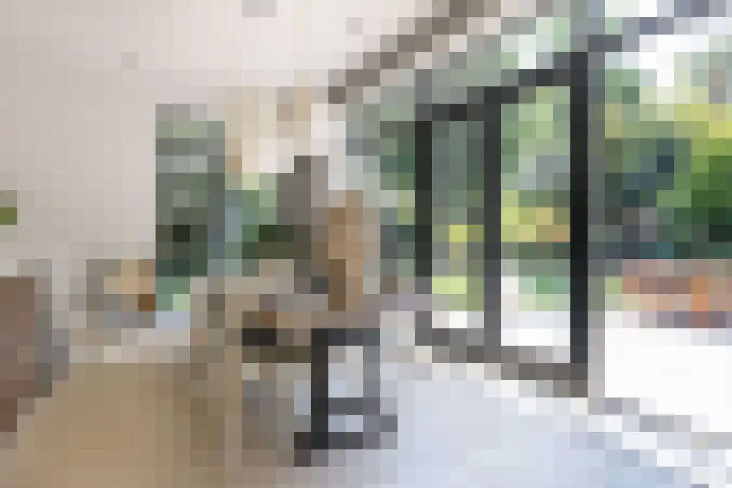 Frans Halslaan 113 Bilthoven thumbnail 30